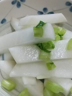 大根の浅漬け-レシピのメイン写真