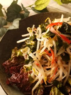 5分で出来る!もやしとワカメの酢の物-レシピのメイン写真