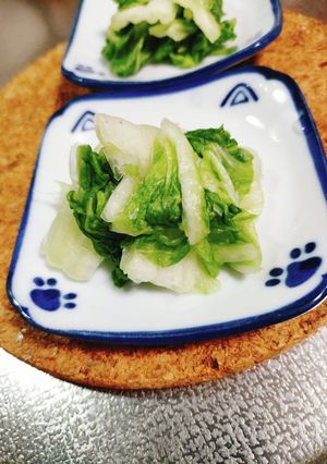 簡単モミモミするだけ!白菜の浅漬け-レシピのメイン写真