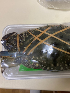 ワタリガニの茹で方-レシピのメイン写真