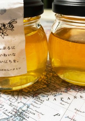 結晶化したハチミツの復活方法-レシピのメイン写真