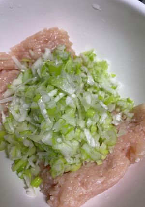 鍋にネギたっぷり鶏団子。シンプルが一番。-レシピのメイン写真