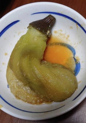 出汁醤油で食べるレンチンで簡単ナス-レシピのメイン写真