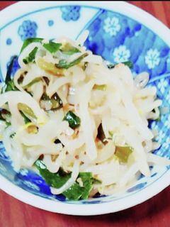 モヤシとネギの和え物-レシピのメイン写真