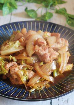 鶏とキャベツのやわらか生姜焼き-レシピのメイン写真