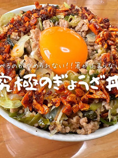 究極のぎょうざ丼-レシピのメイン写真