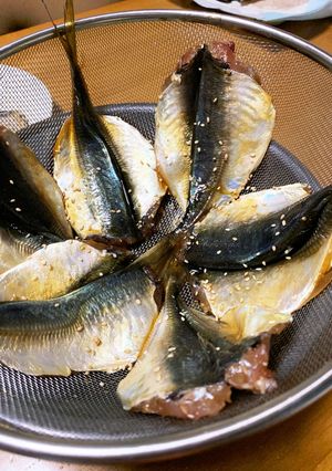 鯵のみりん干し-レシピのメイン写真