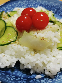 作り置きシリーズ 浅漬け混ぜご飯☆-レシピのメイン写真