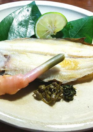 柳鰈の自家製干物 魚醤風味-レシピのメイン写真