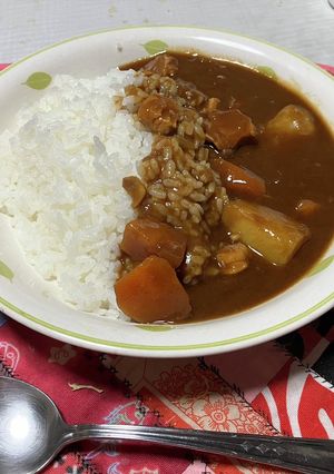 せとしおカレー改-レシピのメイン写真