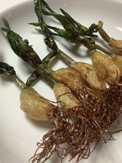 失敗しないニンニクスプラウトの素揚げ-レシピのメイン写真