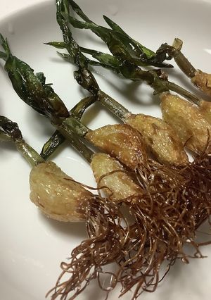 失敗しないニンニクスプラウトの素揚げ-レシピのメイン写真