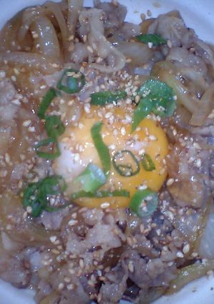 超手抜き☆豚丼-レシピのメイン写真