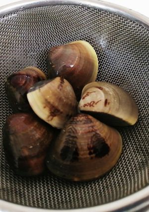 はまぐりの砂抜き　冷凍保存-レシピのメイン写真