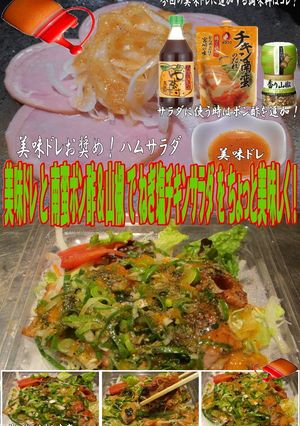 美味ドレ南蛮ポン酢山椒ねぎ塩チキンサラダ-レシピのメイン写真
