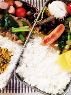 豚肉小松菜炒め弁当(11.6)-レシピのメイン写真