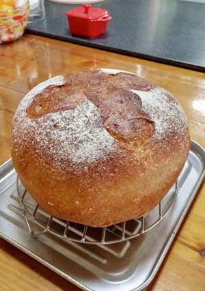 2*林檎酵母カカオニブ胡麻の高加水パン-レシピのメイン写真