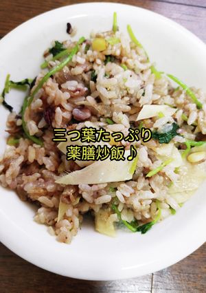 みつ葉、松の実、新生姜の薬膳15穀米炒飯-レシピのメイン写真