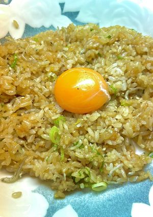 簡単★しらす(ちりめんじゃこ)焼き飯-レシピのメイン写真
