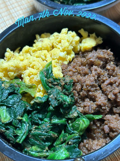 お出汁たっぷり三食そぼろ丼-レシピのメイン写真