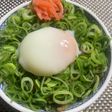 ウルトラマンドの 究極の 葱玉牛丼
