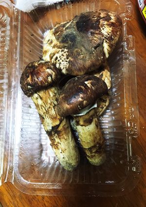 秋の松茸ご飯-レシピのメイン写真