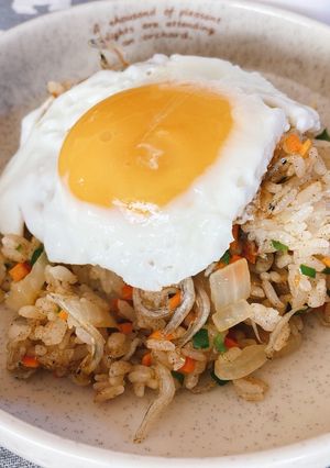 粉末だしで・じゃこライス-レシピのメイン写真