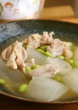 冬瓜と鶏肉のあっさり煮-レシピのメイン写真