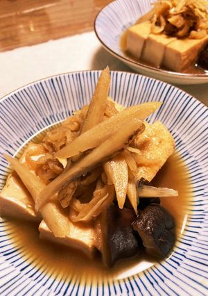 厚揚げ切り干し大根ごぼう椎茸の煮物-レシピのメイン写真