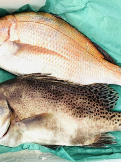 【お魚を捌いてみよう!】-レシピのメイン写真