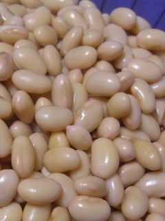 おいしい大豆で・・・・-レシピのメイン写真