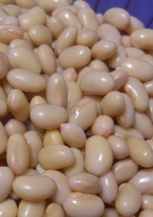 おいしい大豆で・・・・-レシピのメイン写真