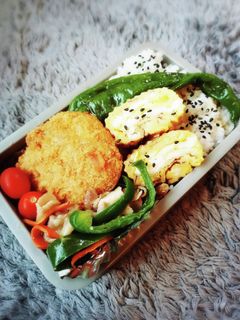 息子弁当11/8-レシピのメイン写真