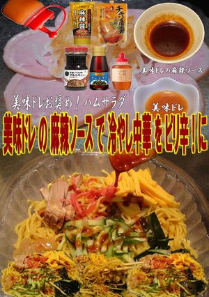美味ドレの麻辣ソースで冷やし中華！-レシピのメイン写真