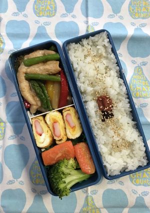 20221108マイ弁当-レシピのメイン写真