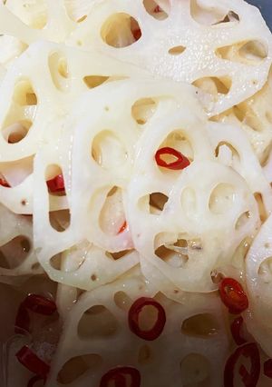 レンコンの酢の物-レシピのメイン写真