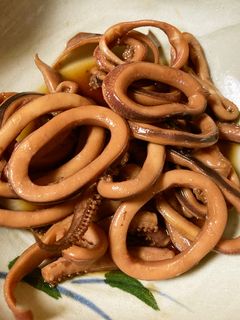 イカの煮付け-レシピのメイン写真