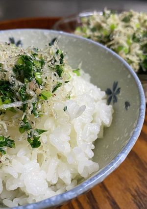 大根の葉で｡｡｡葉じゃこメシ-レシピのメイン写真
