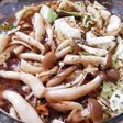 麻薬キノコ