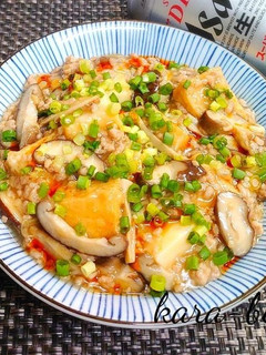 ピリ辛ウマッ!絹揚げの中華そぼろあんかけ-レシピのメイン写真