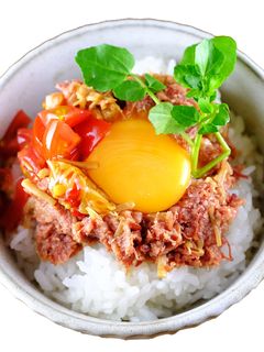 スタミナ・コンビーフ丼 【キャンプ飯】-レシピのメイン写真