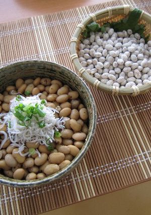 【やまなしの食】しょうゆの実-レシピのメイン写真