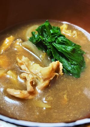 大地の恵☆柿カレーうどん・そば☆つけ汁-レシピのメイン写真