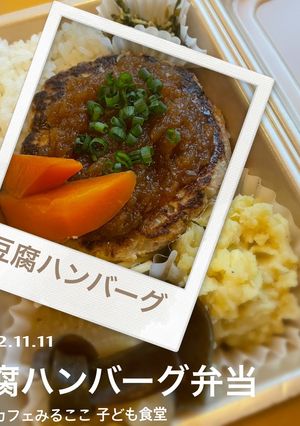 豚ひき肉とお豆腐と玉ねぎだけハンバーグ-レシピのメイン写真