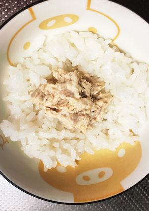 妊婦でもOK！酢めしのツナマヨおにぎり-レシピのメイン写真