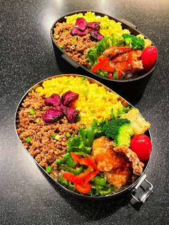 高校生弁当2022 11月11日そぼろ丼-レシピのメイン写真