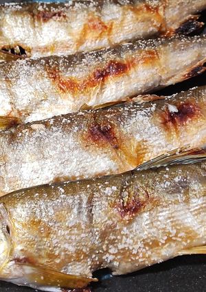 落ち鮎の塩焼き-レシピのメイン写真
