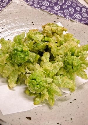 ふきのとうの天ぷら-レシピのメイン写真
