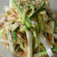 白菜が旨い!千切り野菜コチュジャンサラダ