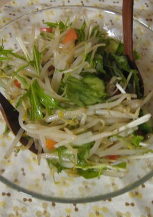 もやしと水菜の春サラダ＊-レシピのメイン写真